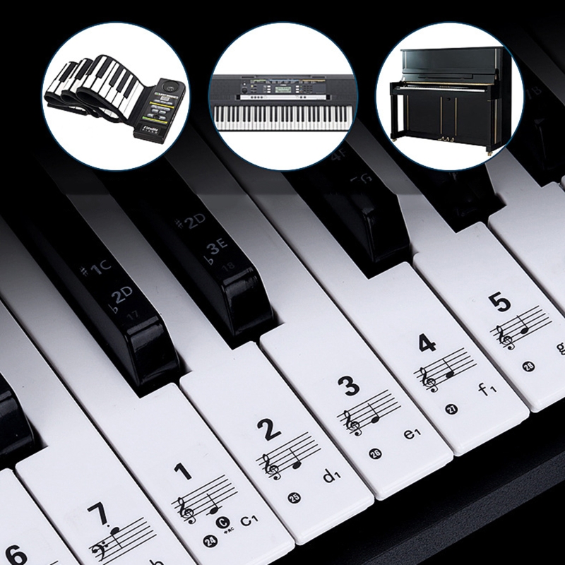 Keyboard Piano 61 Key - Q39E Trong Suốt Có Thể Tháo