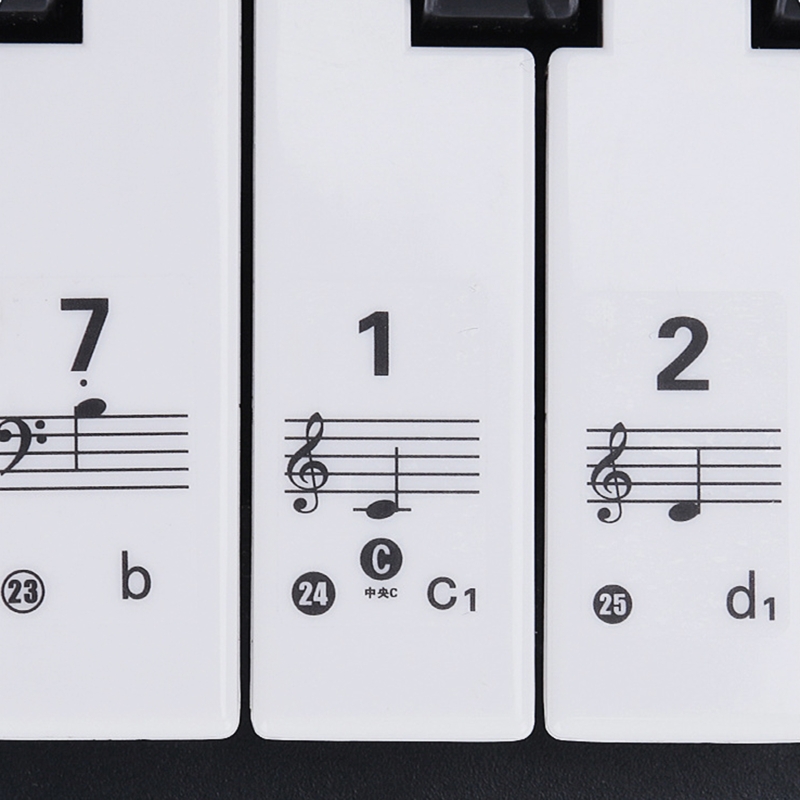 Q39E Trong Suốt Có Thể Tháo Rờ - đánh giá và giá Keyboard Piano 61 Key