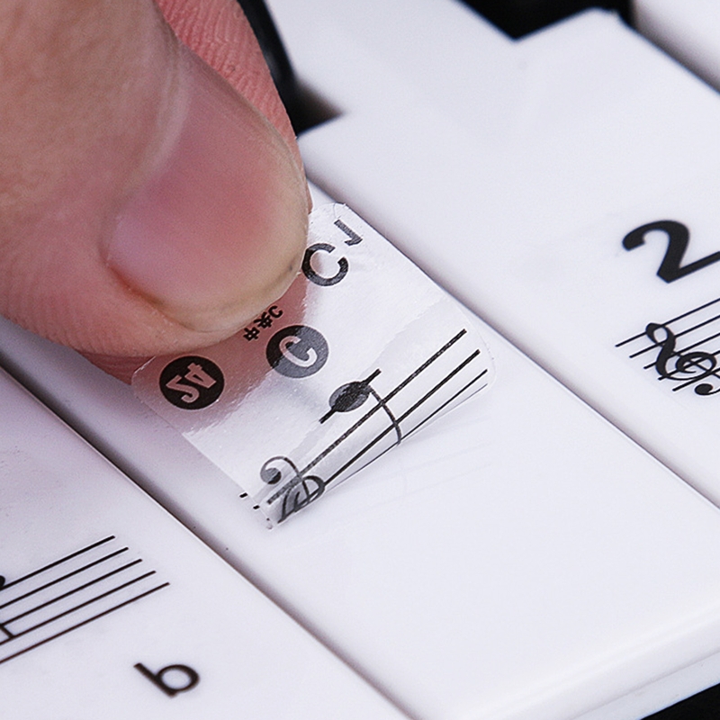 Q39E Trong Suốt Có Thể Tháo Rờ - đánh giá và giá Keyboard Piano 61 Key