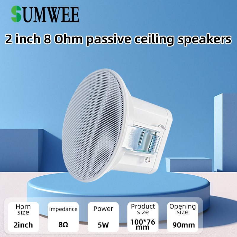 2Inch Mini 8 Ohm Ceiling Speak - đánh giá và giá Audio Music System For Home